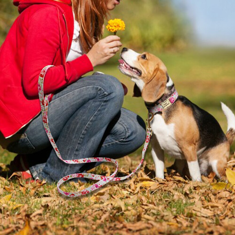 Personalisiertes bedrucktes Hundehalsband- und Leinen-Set