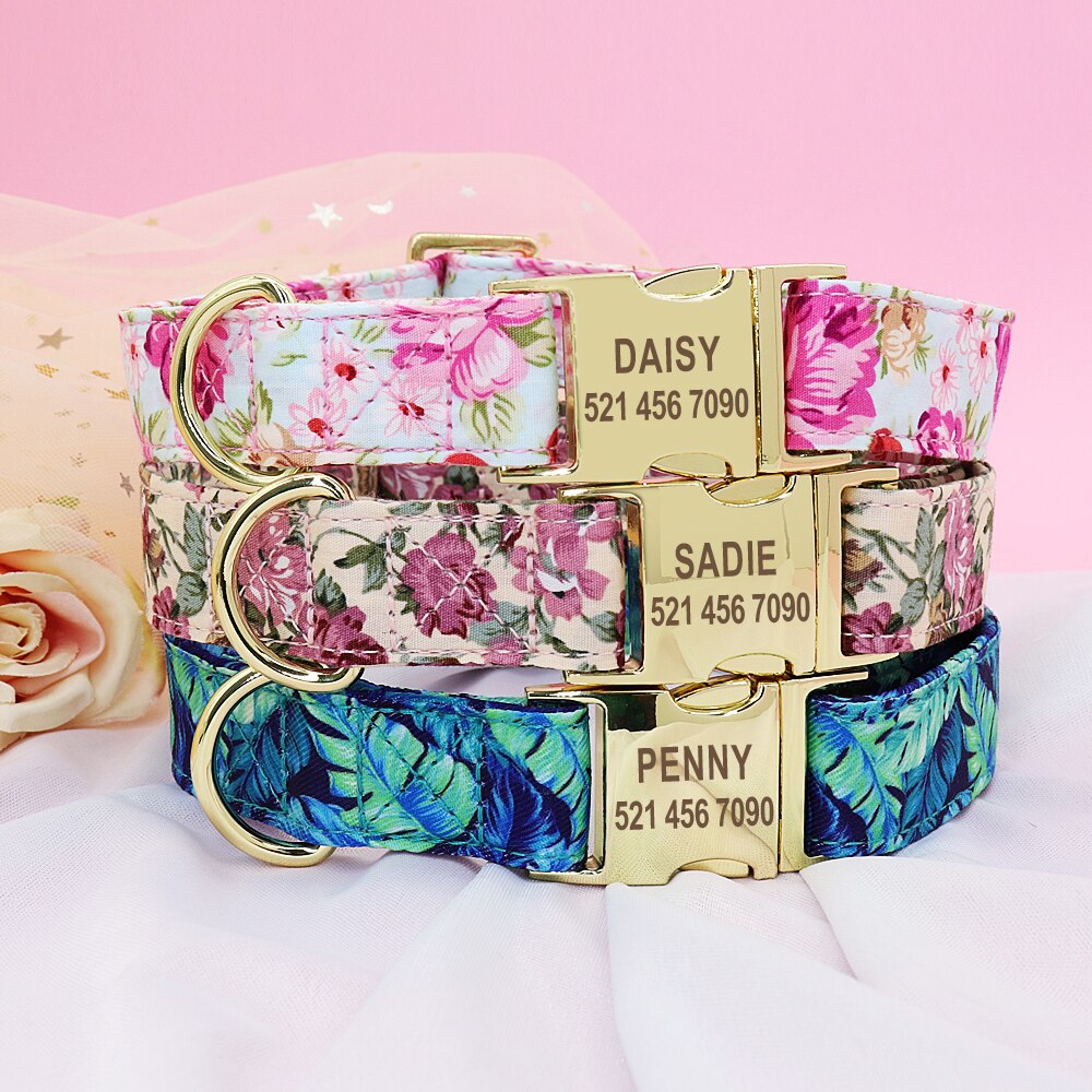 Personalisiertes bedrucktes Hundehalsband- und Leinen-Set